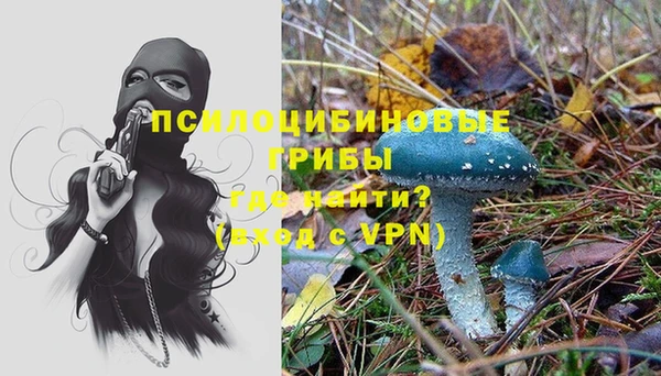 MESCALINE Дмитров