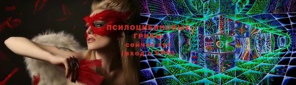 МДПВ Дмитровск