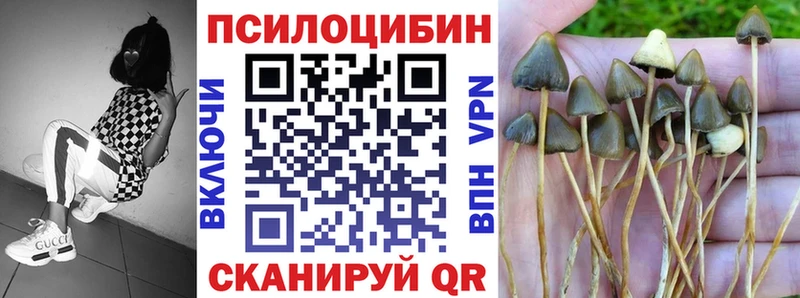 darknet какой сайт  Симферополь  Псилоцибиновые грибы мухоморы 